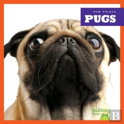 Bertrand.pt - Pugs