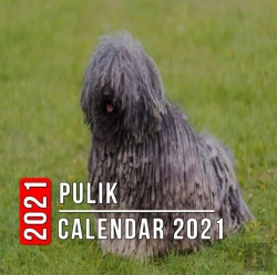 Bertrand.pt - Pulik Calendar 2021