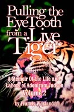 Bertrand.pt - Pulling The Eyetooth Of A Live Tiger