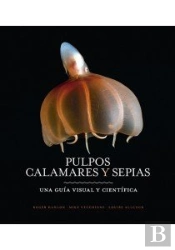 Pulpos, Calamares Y Sepias