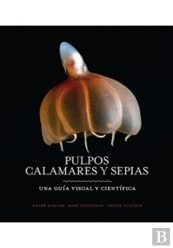 Bertrand.pt - Pulpos, Calamares Y Sepias