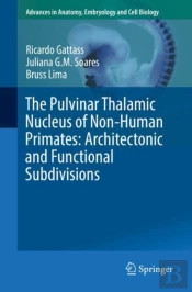 Pulvinar Thalamic Nucleus Of Non-Human Primates: Architectonic And Functional Subdivisions