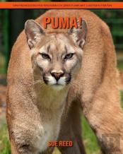 Puma! Ein Padagogisches Kinderbuch Uber Puma Mit Lustigen Fakten