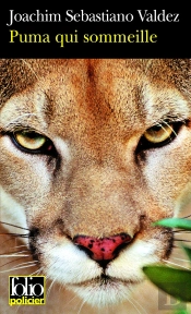 Puma Qui Sommeille : Une Enquête Impériale De L'Inca Tupac Hualpa