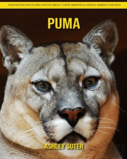 Bertrand.pt - Puma