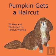 Pumpkin Gets A Haircut