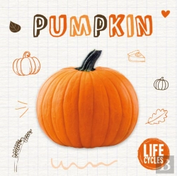 Bertrand.pt - Pumpkin