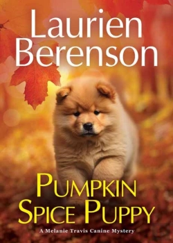 Bertrand.pt - Pumpkin Spice Puppy