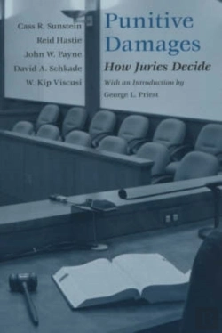 Bertrand.pt - Punitive Damages