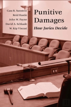 Bertrand.pt - Punitive Damages