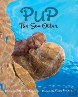 Bertrand.pt - Pup The Sea Otter