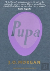 Pupa
