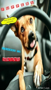 Puppers Learns To Drive