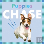 Puppies Chase