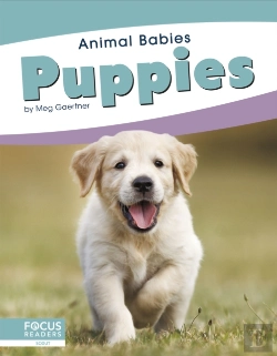 Bertrand.pt - Puppies