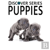 Puppies