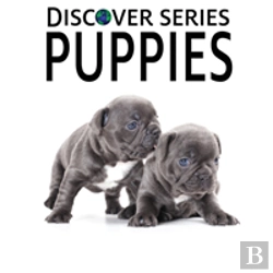 Bertrand.pt - Puppies