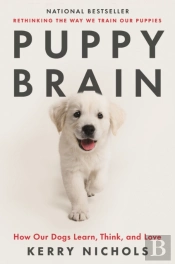 Puppy Brain
