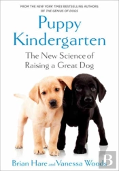 Puppy Kindergarten