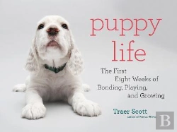 Bertrand.pt - Puppy Life