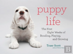 Bertrand.pt - Puppy Life