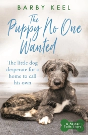 Puppy No One Wanted