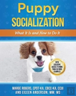Bertrand.pt - Puppy Socialization