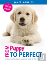 Puppy To Perfect
