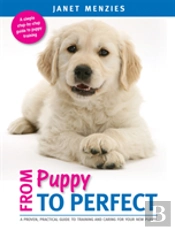 Puppy To Perfect