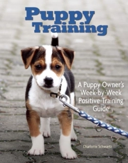 Bertrand.pt - Puppy Training