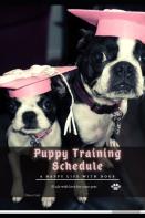 Puppy Training Schedule
