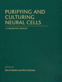 Bertrand.pt - Purifying And Culturing Neural Cells