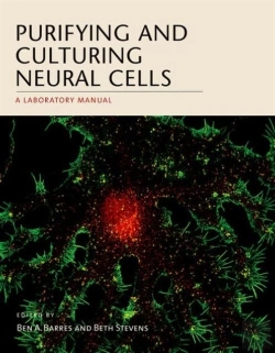 Bertrand.pt - Purifying And Culturing Neural Cells