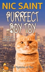 Purrfect Boy Toy
