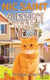 Purrfect Mess