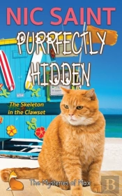 Purrfectly Hidden