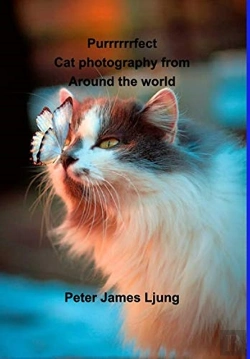 Bertrand.pt - Purrrrrrfect Cat Photography