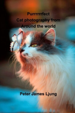 Bertrand.pt - Purrrrrrfect Cat Photography