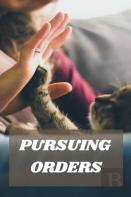 Pursuing Orders