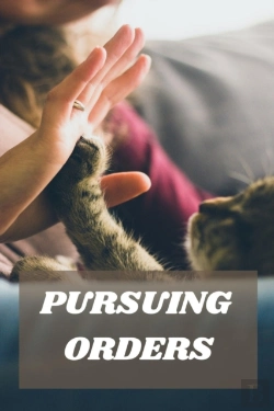Bertrand.pt - Pursuing Orders