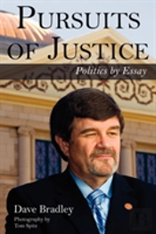 Pursuits Of Justice: Politics By Essay