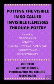 Putting The Visible In So Called Invisible Illnesses Through Poetry