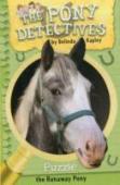 Puzzle, The Runaway Pony