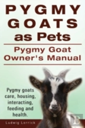 Pygmy Goats As Pets. Pygmy Goat Owners M