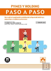 Pymes Y Holding. Paso A Paso