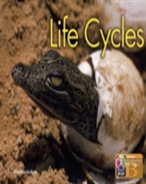 Pyp L6 Life Cycles Single