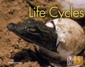 Pyp L6 Life Cycles Single