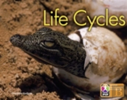 Bertrand.pt - Pyp L6 Life Cycles Single