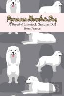 Pyrenean Mountain Dog