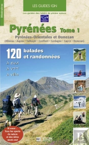Pyrénées T.1 ; Orientales Et Donezan